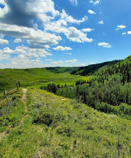 trails near Cochrane Alberta