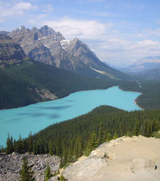 Rocky Mountain parks near Springbank